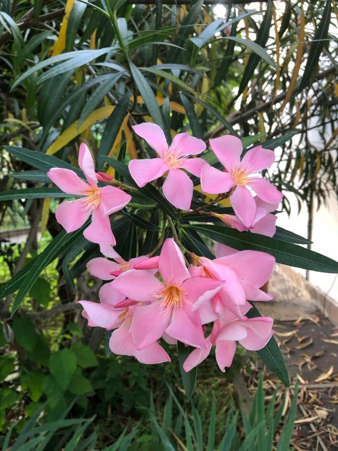 In Giardino B&B Cassina de' Pecchi ภายนอก รูปภาพ
